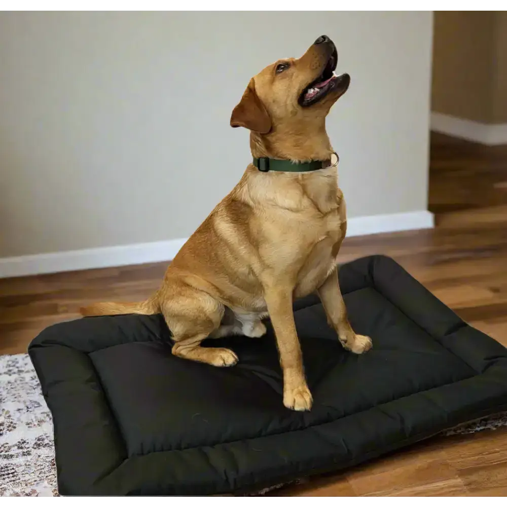 P&L Country Dog Heavy Duty Waterproof Rectangular Cushion Pad Dog Beds. Medium L76cm X W52cm X D5cm Black Dog Beds