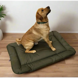 P&L Country Dog Heavy Duty Waterproof Rectangular Cushion Pad Dog Beds. Medium L76cm X W52cm X D5cm Black Dog Beds