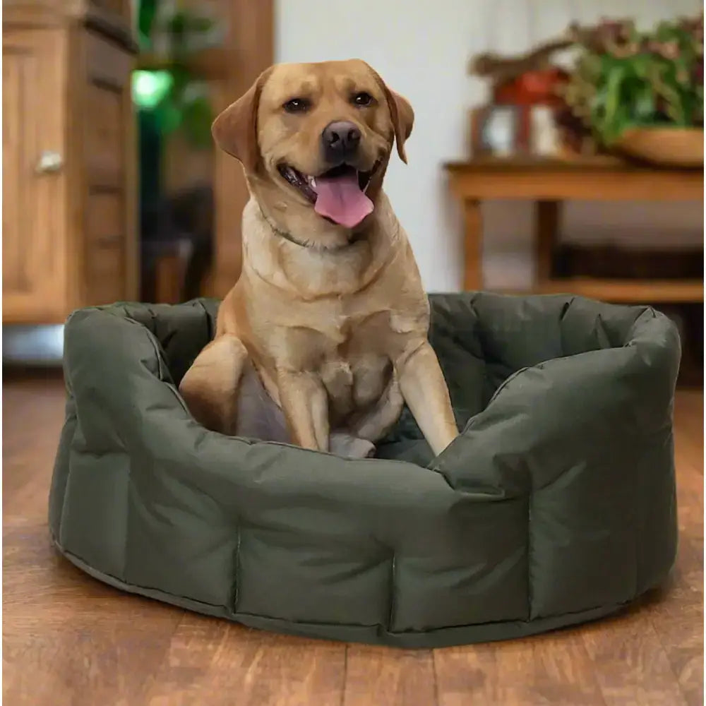 Olive green plush circular dog bed with quilted design p&l country dog tough heavy duty oval waterproof dog bed