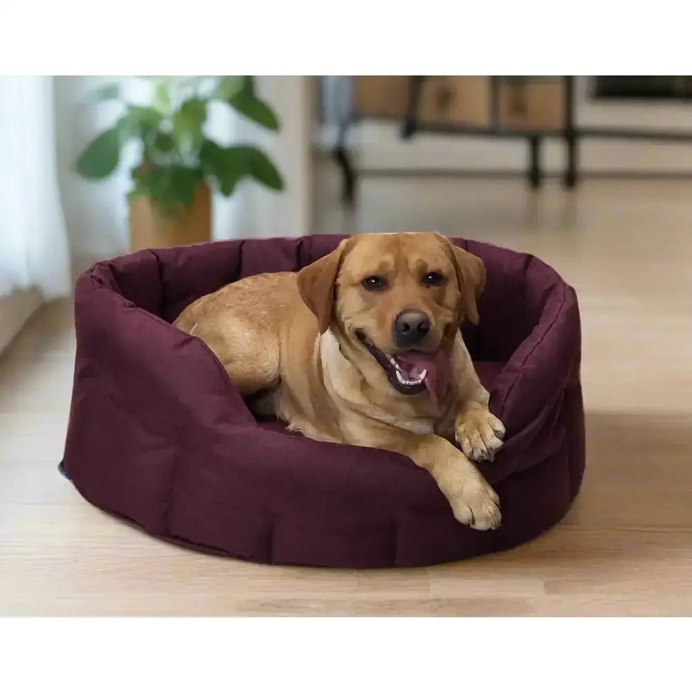 A plush deep purple country dog tough heavy duty oval waterproof dog bed with soft padded interior and reinforced seams