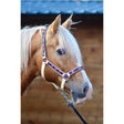 Padded Headcollar Shetland Red 