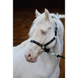 Black padded headcollar with 25mm webbing and silver horse silhouette embroidery for equestrian use