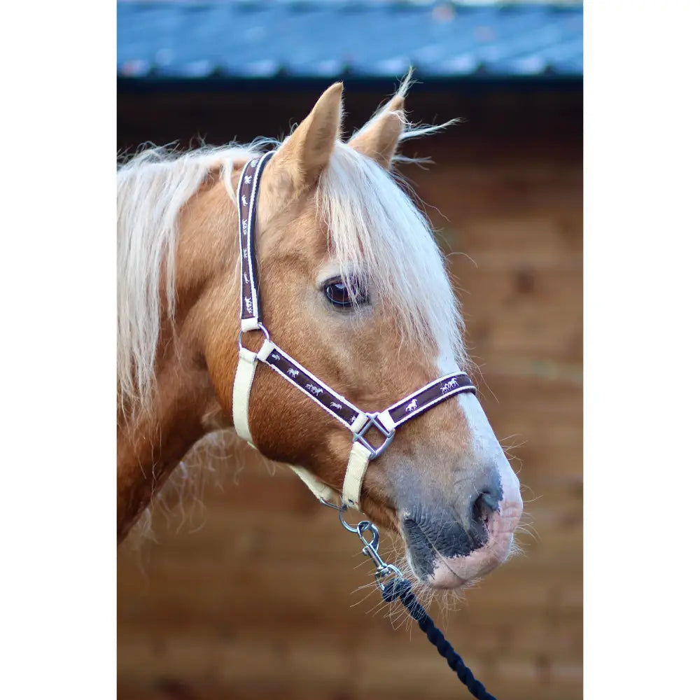 Brown horse wearing a black and cream padded headcollar with 25mm webbing and small horse silhouettes equestrian design
