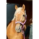 Pink padded headcollar with 25mm webbing made of durable fabric and metal hardware for equestrian use