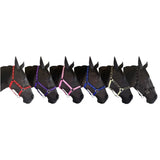 A row of black horses wearing colorful padded headcollars with 25mm webbing perfect for equestrian use