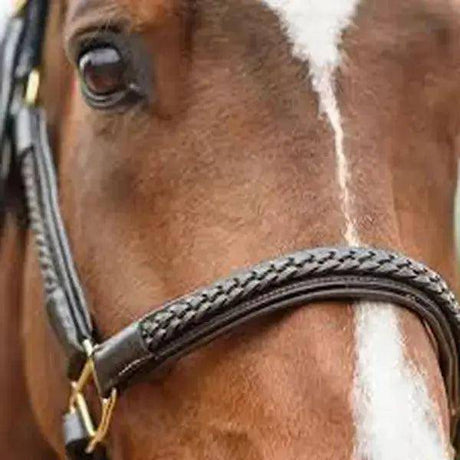 Padded Plaited Leather Headcollars Black Pony Saddlery Trade Services Headcollars & Leadropes Barnstaple Equestrian Supplies