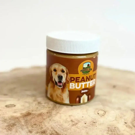 A brown glass jar of paddock farm peanut butter for dogs with a white lid and a smiling golden retriever label
