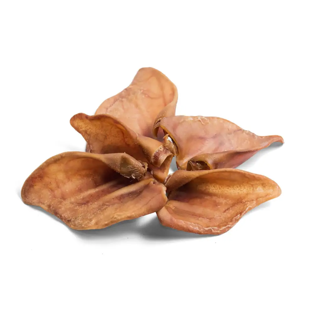 Paddock Farm Pig Ears Large X 10 Ears Dog Treats