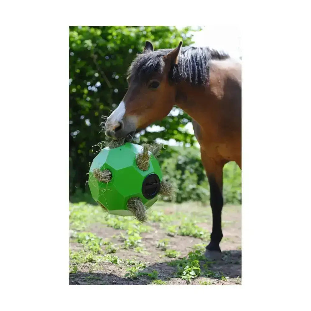 Bright green polyethylene spherical shaped slow forage feeder with multiple openings for parallax hay play