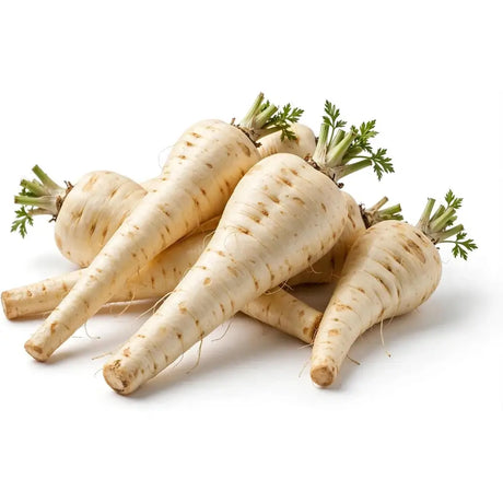 A cluster of fresh pale cream-colored parsnips with green tops perfect for equestrian horse rider nutrition