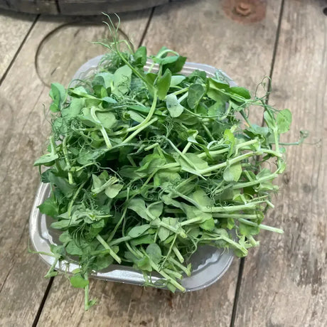 Pea Shoots Tendral Salad Box vegetables