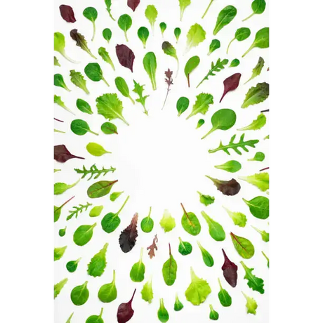 Pea Shoots Tendral Salad Box vegetables