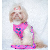 Pink peacock power harness with vibrant peacock feather pattern and matching 5ft leash with pearl bow accessory