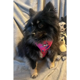 Peacock Power Adjustable Dog Harness - hot pink peacock feather dog harness Xxs Pet Products