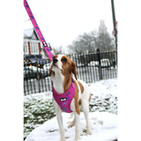 Peacock Power Adjustable Dog Harness - hot pink peacock feather dog harness Xxs Pet Products