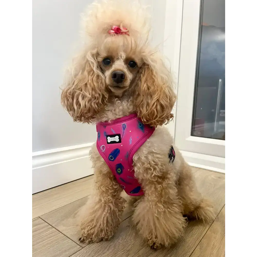 Peacock Power Adjustable Dog Harness - hot pink peacock feather dog harness Xxs Pet Products