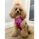 Peacock Power Adjustable Dog Harness - hot pink peacock feather dog harness Xxs Pet Products
