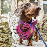 A hot pink dog harness with adjustable peacock power design featuring blue feather patterns and a purple collar tag
