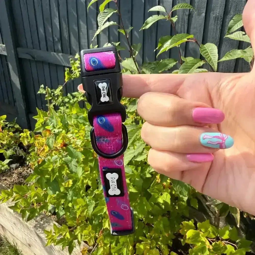 Peacock Power Dog Collar: Stylish, Durable, and Comfortable for Your Dog XS Pet Products