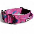 Peacock Power Tactical Dog Collar with Handle Large Pet Collars & Harnesses