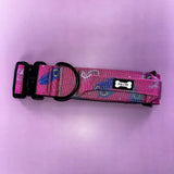 Peacock Power Tactical Dog Collar with Handle Large Pet Collars & Harnesses