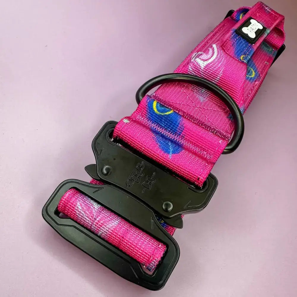 Peacock Power Tactical Dog Collar with Handle Large Pet Collars & Harnesses