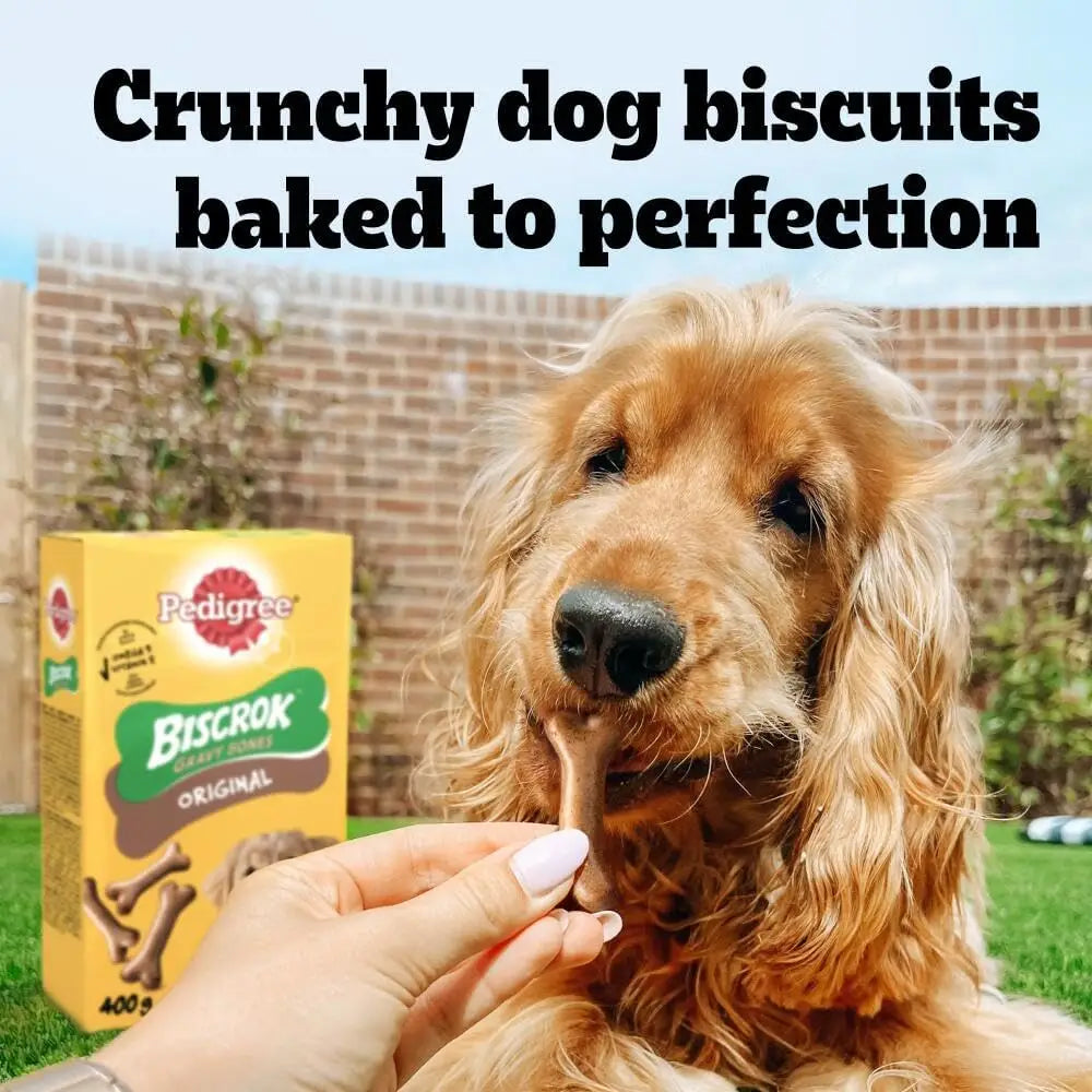 Pedigree Dog Treats Gravy Bones Original 12x400gm Dog Treats Barnstaple Equestrian Supplies