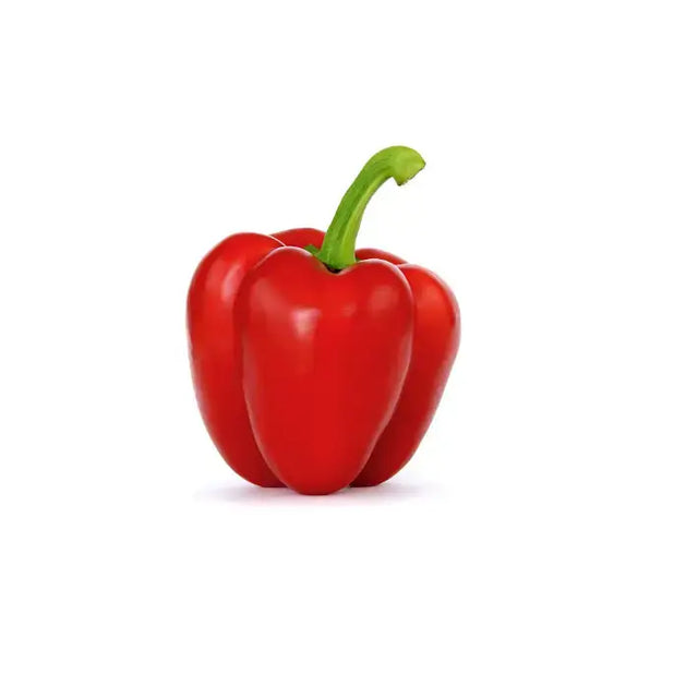 Vibrant red bell pepper with smooth glossy skin and fresh green stem featured in peppers with equestrian flair