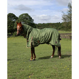 Olive green combo 0g lightweight turnout rug for horses with brown trim and adjustable straps for outdoor use