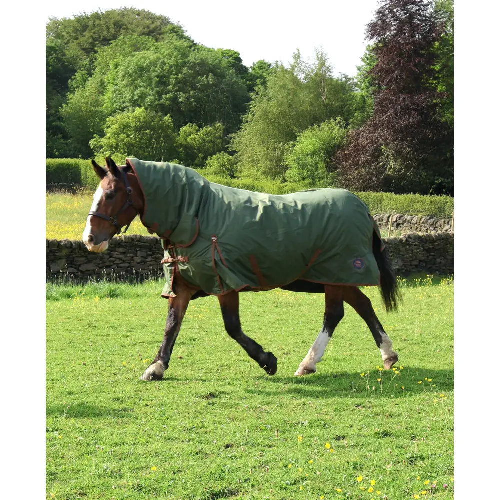 Olive green perf combo 100g lightweight turnout rug with brown straps and small logo on the side for horses