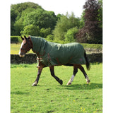Olive green perf combo 100g lightweight turnout rug with brown straps and small logo on the side for horses