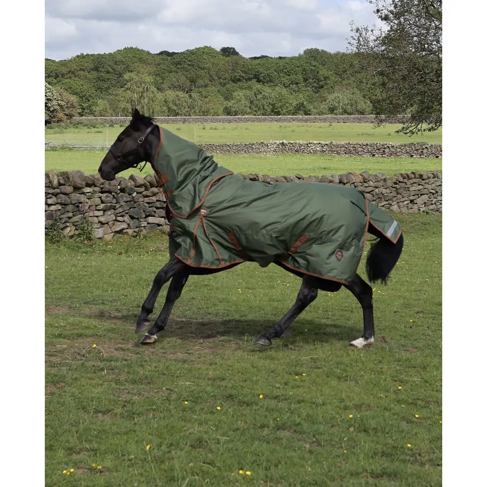 Dark green perf detachable neck turnout rug with brown trim and reflective strip on black horse in outdoor field