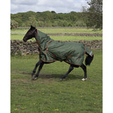 Dark green perf detachable neck turnout rug with brown trim and reflective strip on black horse in outdoor field