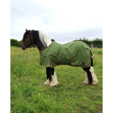 Olive green standard 0g lightweight turnout rug with brown trim and adjustable straps for horses