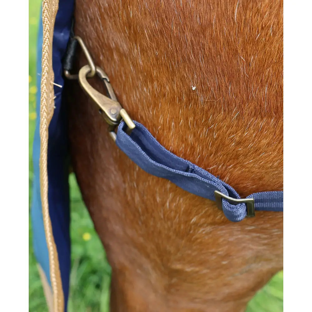 Blue fabric strap with brass clip on brown horse coat of perf standard 0g lightweight turnout rug for horses back side