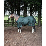 Dark green waterproof perf standard 200g medium weight turnout rug for horses with black straps and logo patch