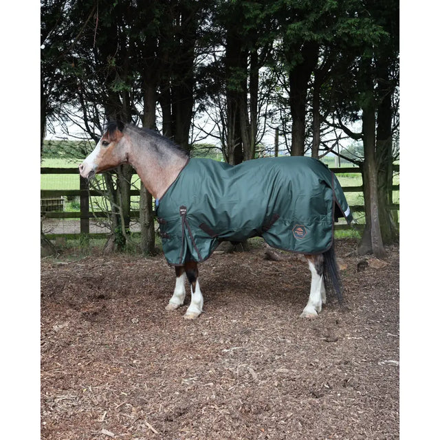Dark green waterproof perf standard 200g medium weight turnout rug for horses with black straps and logo patch