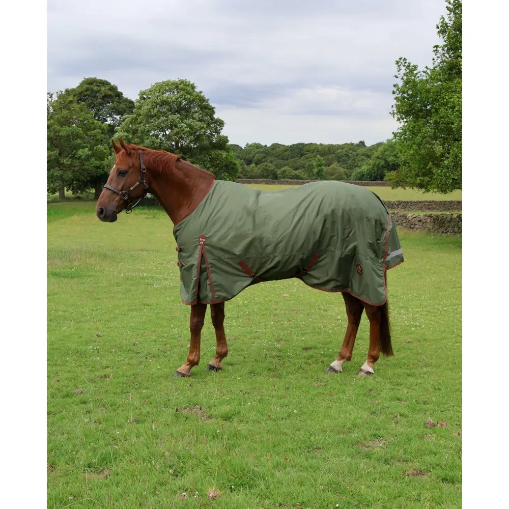 A brown horse wearing a green perf standard 50g lightweight turnout rug with red trim and reflective stripes