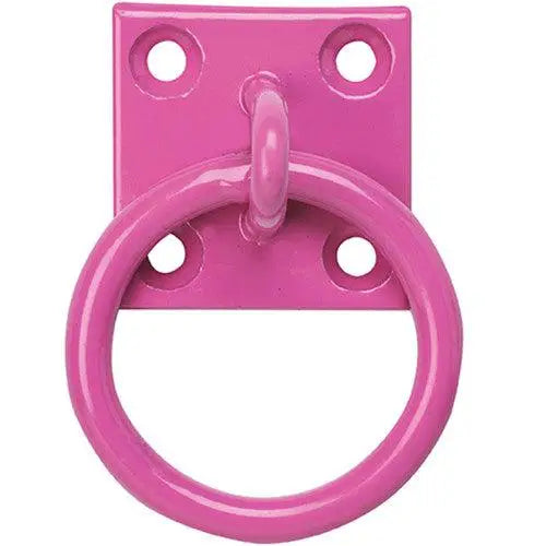 Perry Equestrian Chain Ring on Plate Pink Tie Up Rings Barnstaple Equestrian Supplies