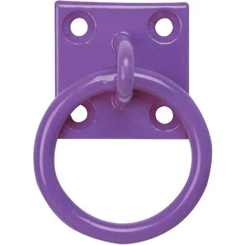 Perry Equestrian Chain Ring on Plate Purple Tie Up Rings Barnstaple Equestrian Supplies