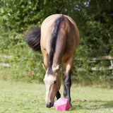 Perry Equestrian One Piece Moulded Feed Ball / Boredom Breaker 9" Blue Horse Licks & Treats