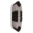 White-handled perry equestrian two tone softened dandy brush with alternating black and white bristles for grooming