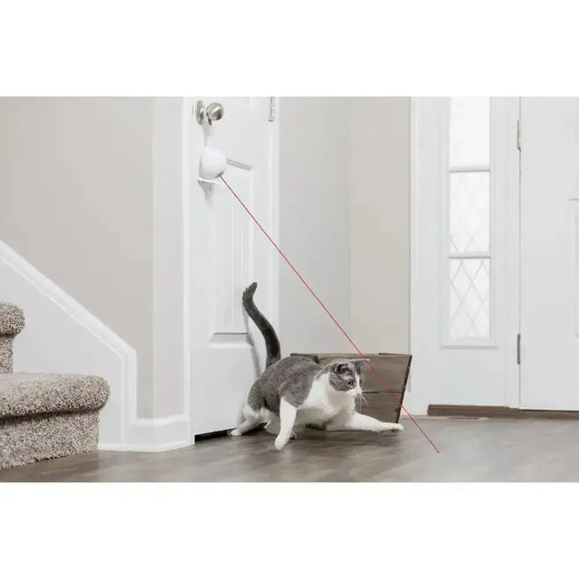 Petsafe dancing dot laser cat toy with white dot laser mounted on a door handle for hands-free play