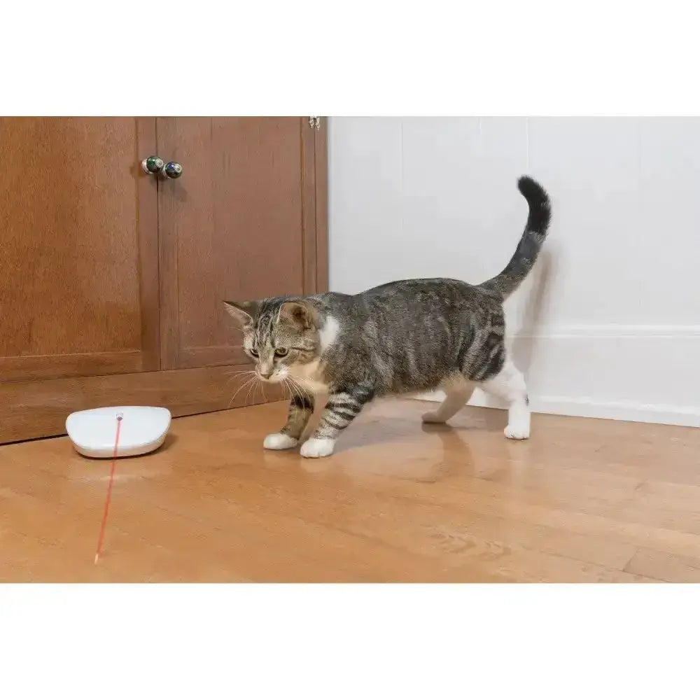 White petsafe laser tail automatic laser cat toy with red beam for interactive pet play