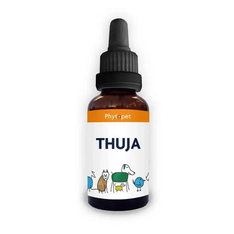 A small amber glass bottle with black dropper cap and white phytpet thuja antiviral label featuring colorful pet illustrations