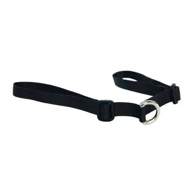 Black nylon point two saddle two saddle attachment leash with silver d-ring and black plastic buckle