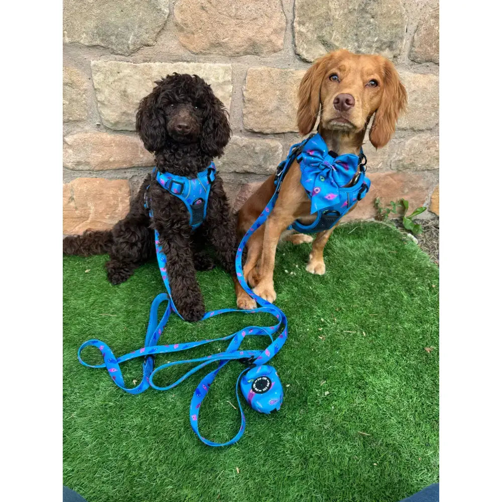 Blue patterned peacock power dog harness and leash set with strong large tactical dog collars and matching poop bag dispenser