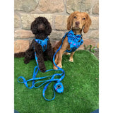 Blue patterned peacock power dog harness and leash set with strong large tactical dog collars and matching poop bag dispenser