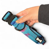 A vibrant blue and pink gradient power peacock dog collar with black buckle d-ring and small bone brand tag for strong large dogs