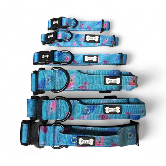 Set of five strong large peacock power dog tactical dog collars in blue and pink with floral pattern and pup chic label